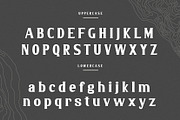 Malaya - A Classic Serif Font, a Serif Font by Wilsonkjc (Thumbnail 4 of 13)