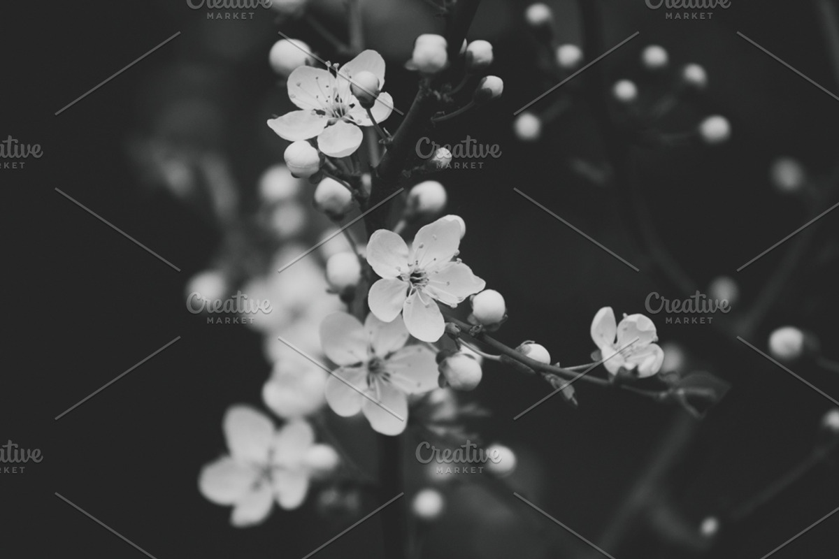 Mood collection, a Photo by Alekseyliss (Photo 19 of 21)