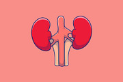 Kidney Cartoon Vector Icons, a Person Illustration by Artstorystudio (Thumbnail 2 of 3)
