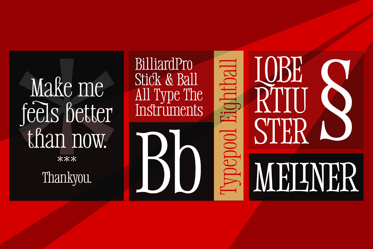 Meliner, a Serif Font by Dora Typefoundry (Photo 5 of 12)