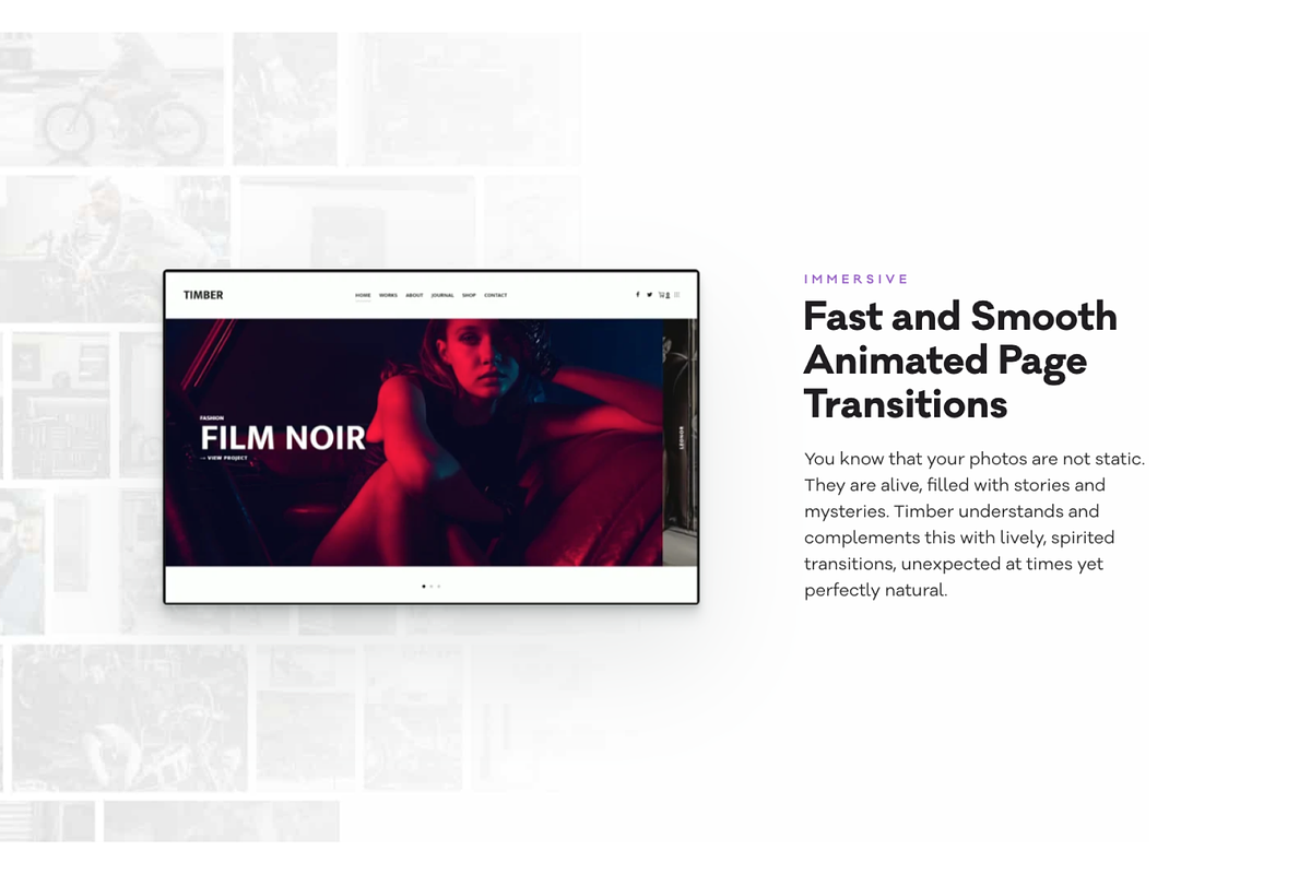 TIMBER - Unusual Photography Theme, a WordPress Template by Pixelgrade (Photo 2 of 5)