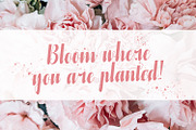 Azteciya - Handwritten Font, a Script Font by StringLabs (Thumbnail 9 of 12)