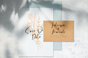 Catthy Wellingten - Handwritten Font, a Script Font by StringLabs (Thumbnail 8 of 10)