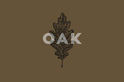 20 Leaves Illustrations, an Illustration by Dopestype (Thumbnail 3 of 5)