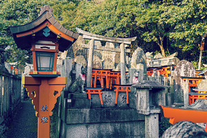 Famous Fushimi Inari Shrine, a Nature Photo by BOOCYS