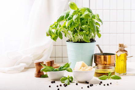 Olive oil with fresh basil featuring cuisine, basil, and ingredient, a Food & Drink Photo by RomanDebree