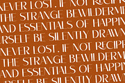Robima Merttha Font Duo, a Script Font by Storytype Studio (Thumbnail 9 of 15)