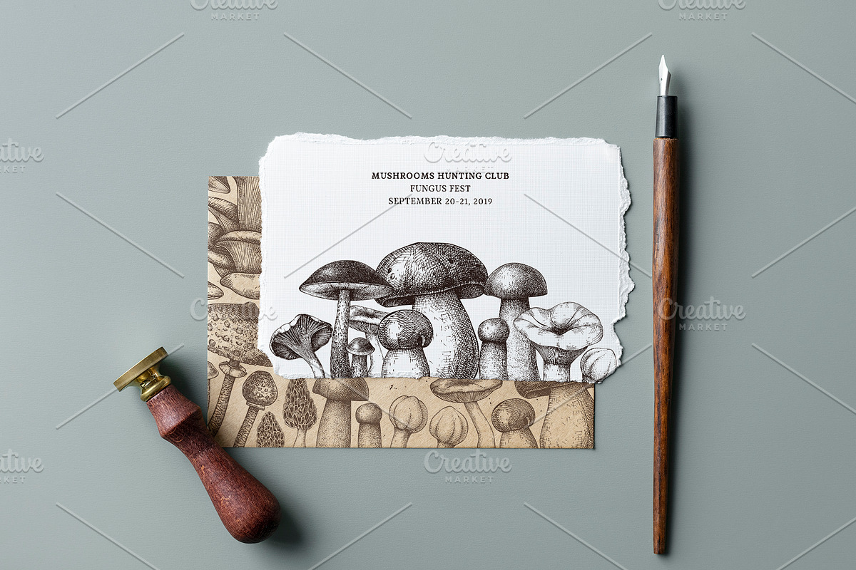 Vector Mushroom Sketches Set, a Seasonal Illustration by Yevheniia (Photo 4 of 7)