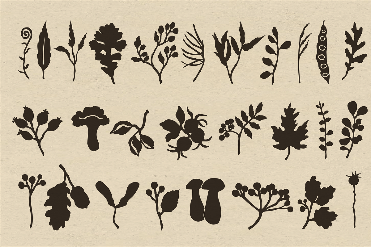 Autumn Botanicals Clipart, a Seasonal Illustration by RaDavCrafts (Photo 4 of 12)