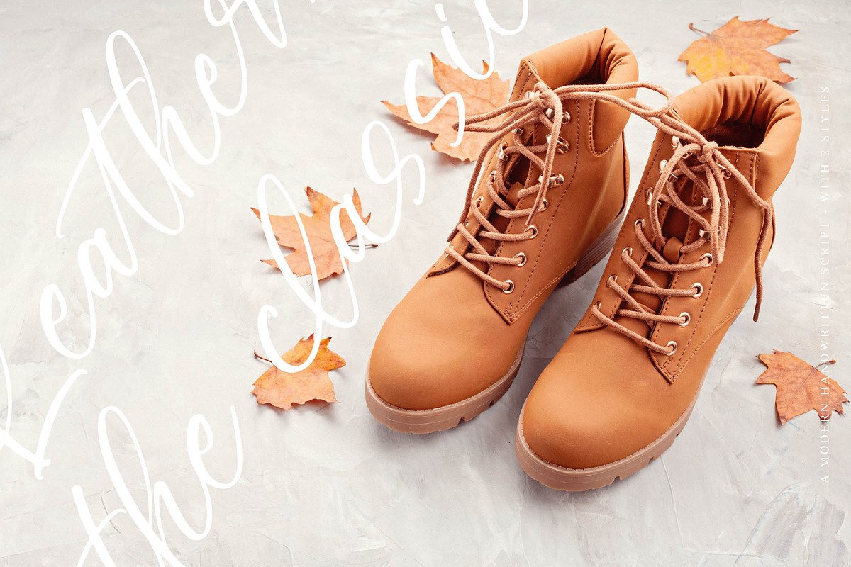 Lively Violet, a Script Font by operatype.co (Photo 6 of 15)