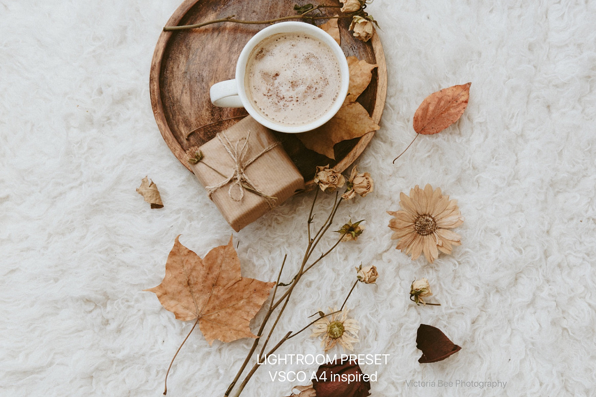 Desktop Lightroom Presets BARBERRY, an Action Add-On by Victoria Bee Presets (Photo 11 of 14)