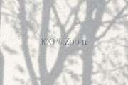 Shadows – wall mural collection, a Wallpaper Graphic by Timofi Art (Thumbnail 5 of 17)