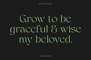 Chermy, a Serif Font by Zaloma Studio (Thumbnail 8 of 17)