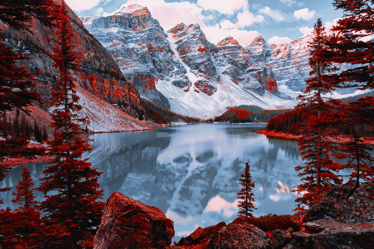 454 Infrared Fantasy Pro LUTs, a Preset Add-On by ShutterPro (Photo 46 of 48)