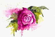 Bundle offer of watercolors, an Animal Illustration by Watercolor_Vector Graphic (Thumbnail 19 of 27)
