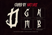 Death Curse - Gothic Horror Font, a Blackletter Font by agnyhasyastudio (Thumbnail 13 of 17)