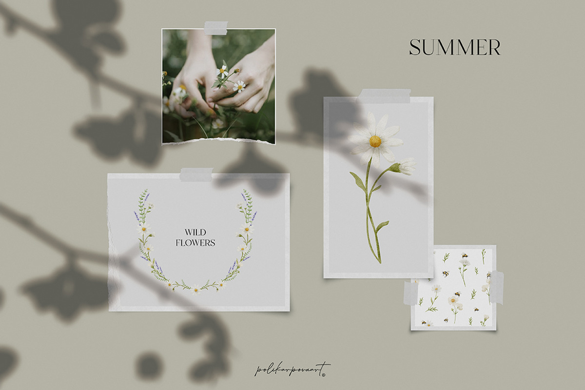 Watercolor Summer Wildflowers, an Illustration by polikarpovaart (Photo 15 of 16)