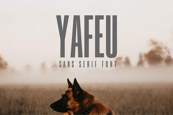 Yafeu Sans Serif Font Family preview 8