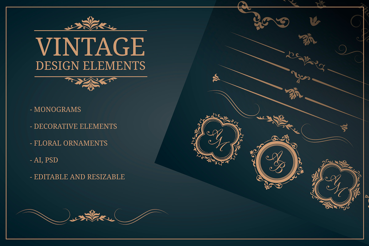 Vintage design elements, an Invitation Template by MARIA KOLYADINA (Photo 1 of 2)