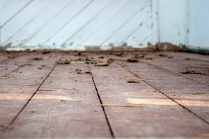 A view of the floorboards, an Abstract Photo by Schreibikus