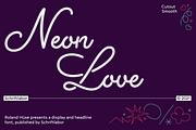 Neon Love, a Script Font by Schriftlabor (Thumbnail 1 of 11)