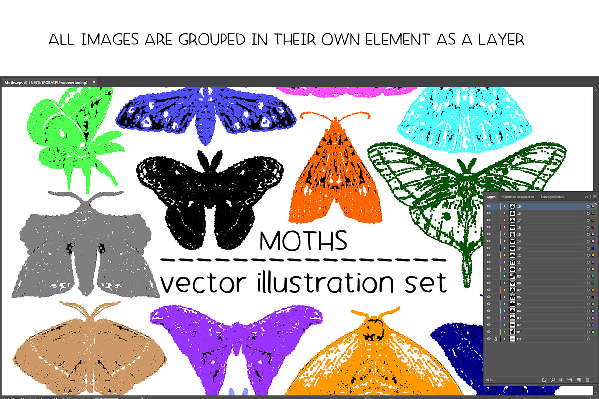 Moths - vector illustration set, an Animal Illustration by Renée from Studio neetje (Photo 3 of 5)