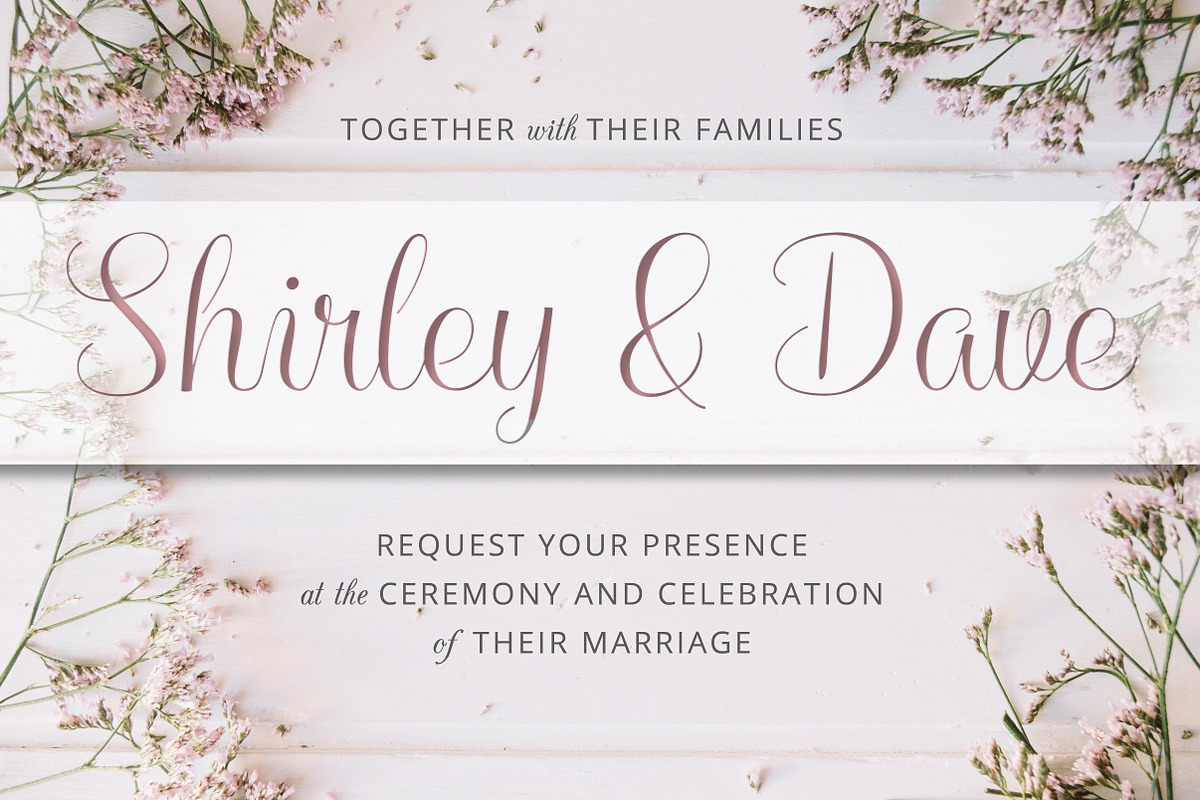 Hollandaise Script Font preview 8