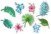 Tropical Plants and Patterns, a Texture Illustration by Katyr (Thumbnail 2 of 4)