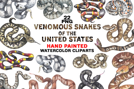 Venomous Snakes of the United States