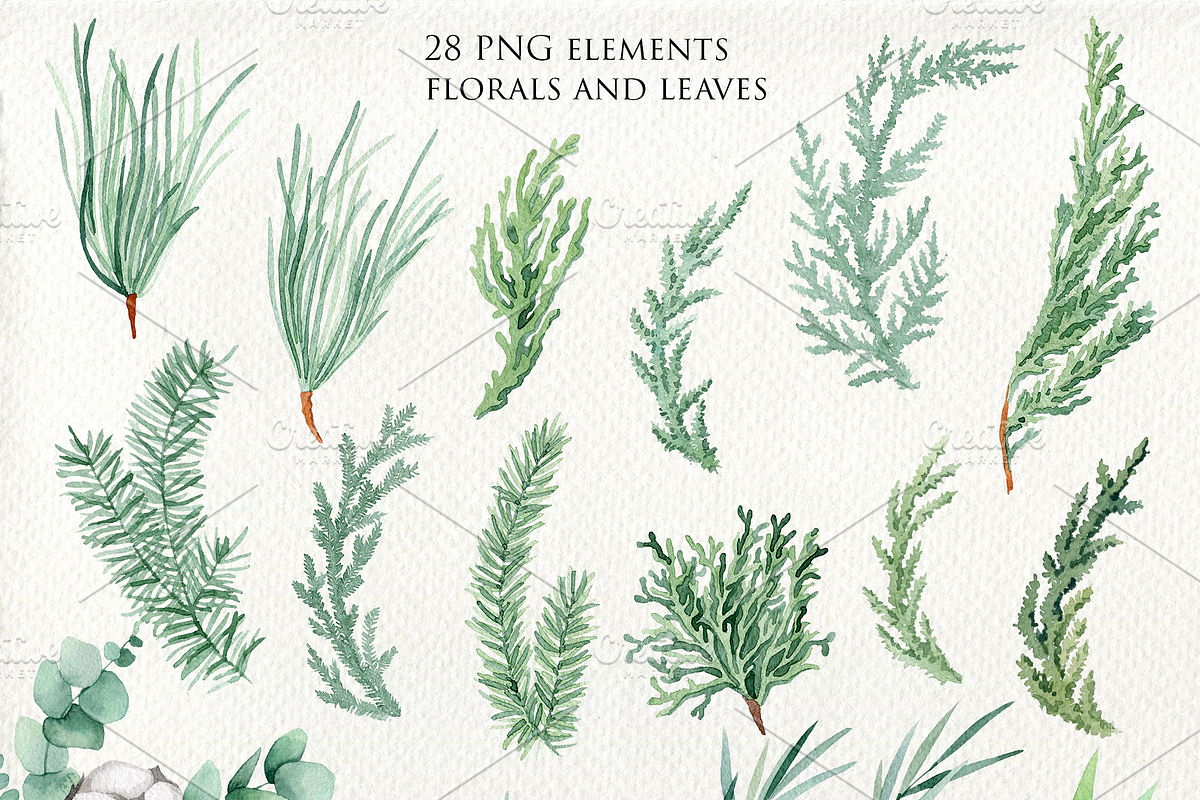 Watercolor set of winter fir wreaths, a Decorative Illustration by Antikva17 (Photo 6 of 7)