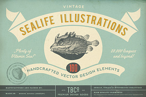 SALE! 100 Sealife Illustrations