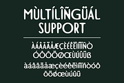 Charvine - A Modern Display Font, a Handwritten Font by Marvadesign (Thumbnail 3 of 5)