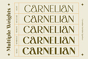 CARNELIAN - Display Variable Type, a Sans Serif Font by Artflorara (Thumbnail 14 of 16)