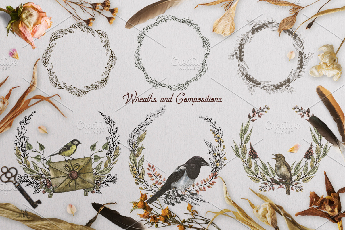 Nordic Birds Ink & Watercolor Set, an Illustration by Fluffy Unicorn (Photo 7 of 12)