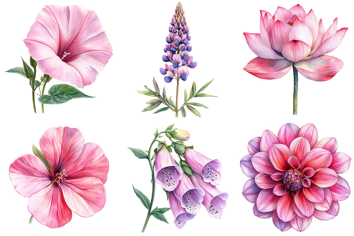 Watercolor Pink Flowers Clipart, an Illustration by Craft Nest (Photo 3 of 7)