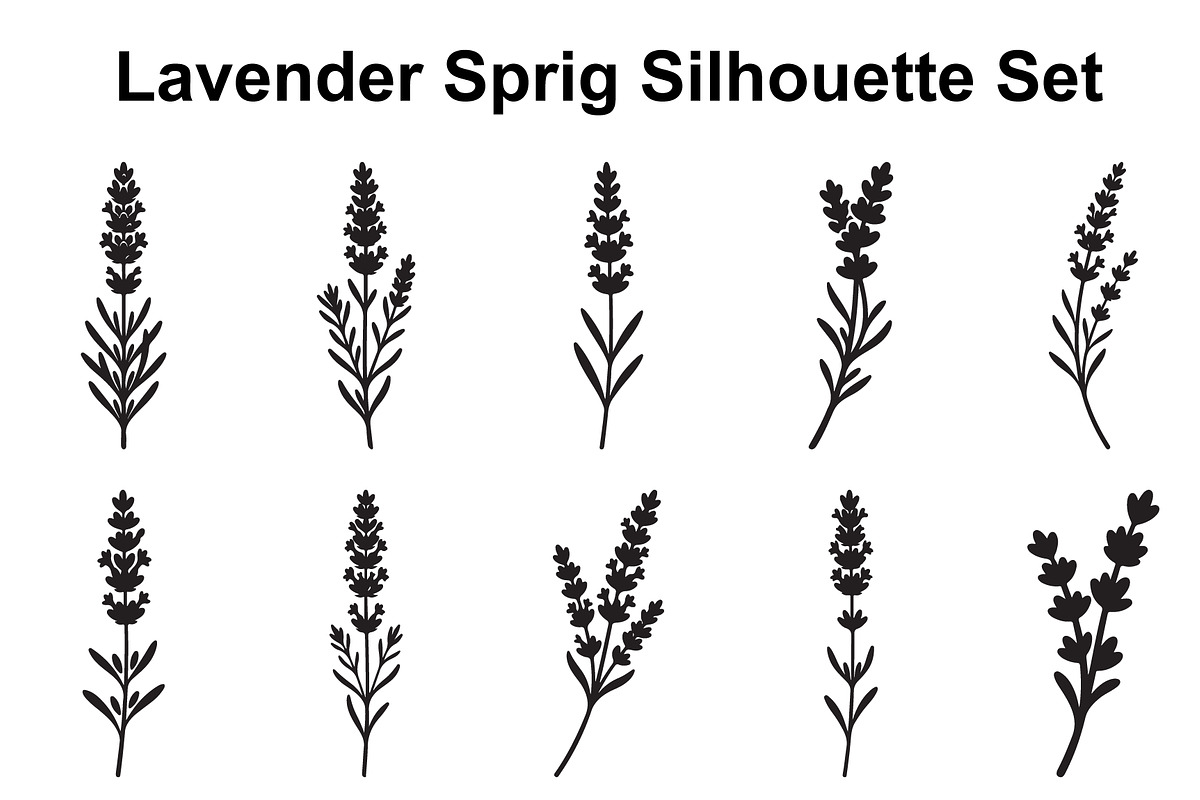 Lavender Flower Silhouette Set, an Object Graphic by Designer_Momina (Photo 1 of 3)