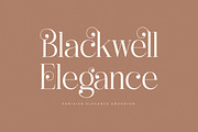 Heyanik New Modern Elegant Serif, a Serif Font by Storytype Studio (Thumbnail 9 of 15)