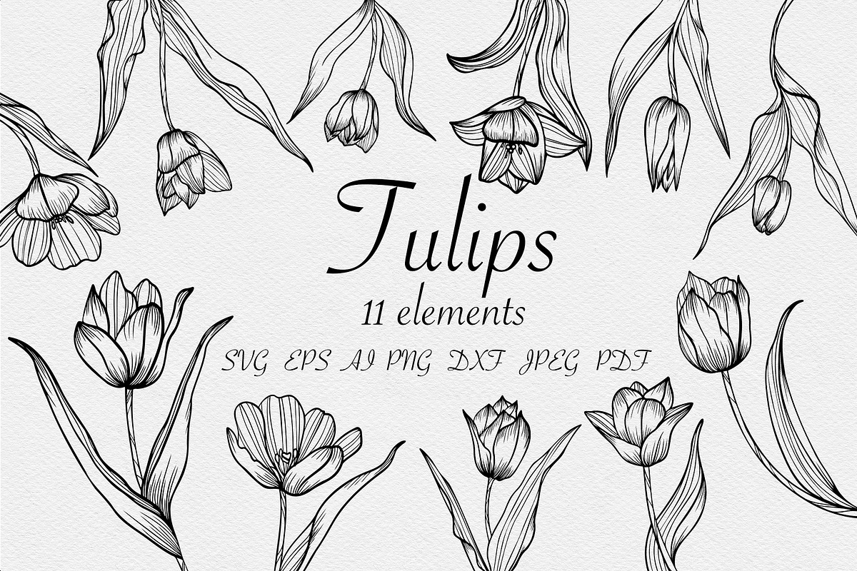 Tulips set SVG, an Object Graphic by mArtstore (Photo 1 of 6)