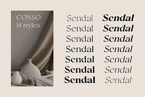 Conso Serif Font Family