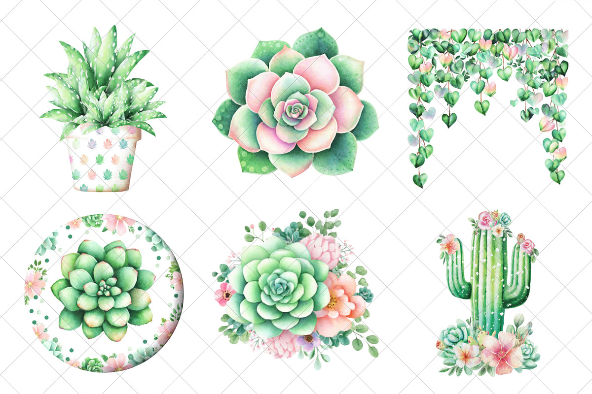 Watercolor Succulent Clipart, an Illustration by SinaCreation (Photo 3 of 7)