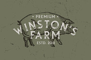 Stillhouse - Textured Vintage Font, a Serif Font by Surplus Type Co (Thumbnail 5 of 9)