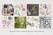 Nuts Hand-Drawn Vector Illustrations, a Food Illustration by Yevheniia (Thumbnail 14 of 15)