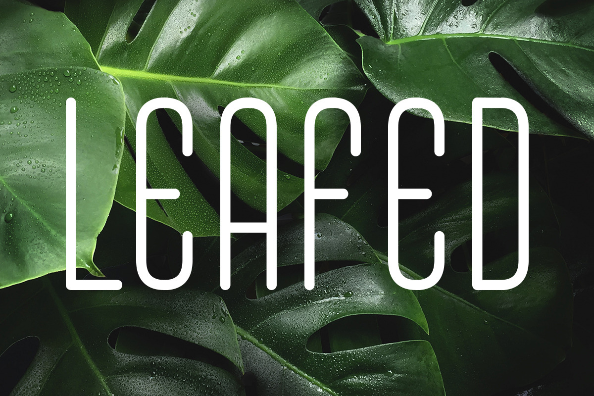 Aquatone | Luxury Sans, a Sans Serif Font by Muntab_Art (Photo 7 of 8)