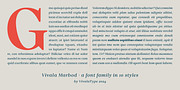 Vivala Marbod, a Serif Font by VivalaType (Thumbnail 10 of 13)