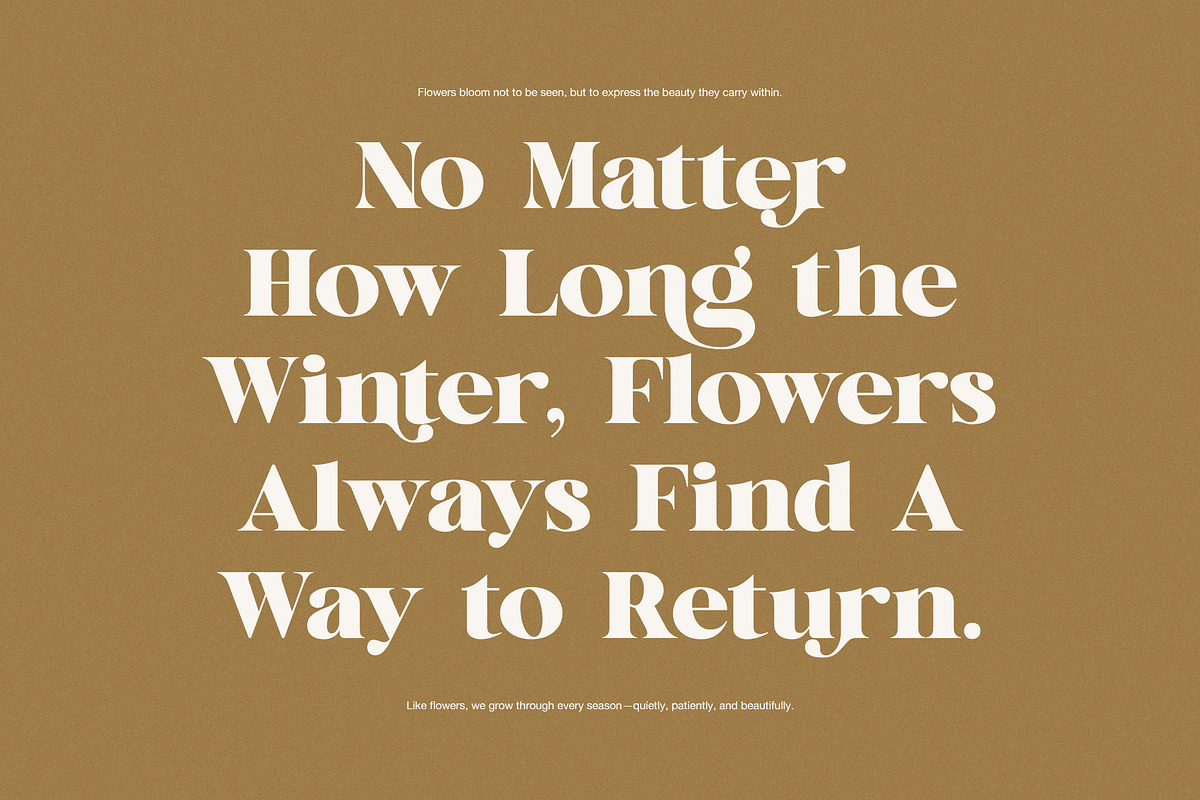 Backira Luxury Serif Font, a Serif Font by Perfectype (Photo 6 of 8)