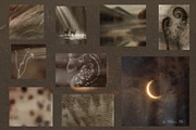 Earthy Mystical Texture Backgrounds, a Texture Graphic by Allure Art (Thumbnail 14 of 28)