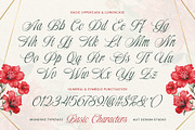 Wondshe Typeface, a Script Font by alit design (Thumbnail 3 of 20)