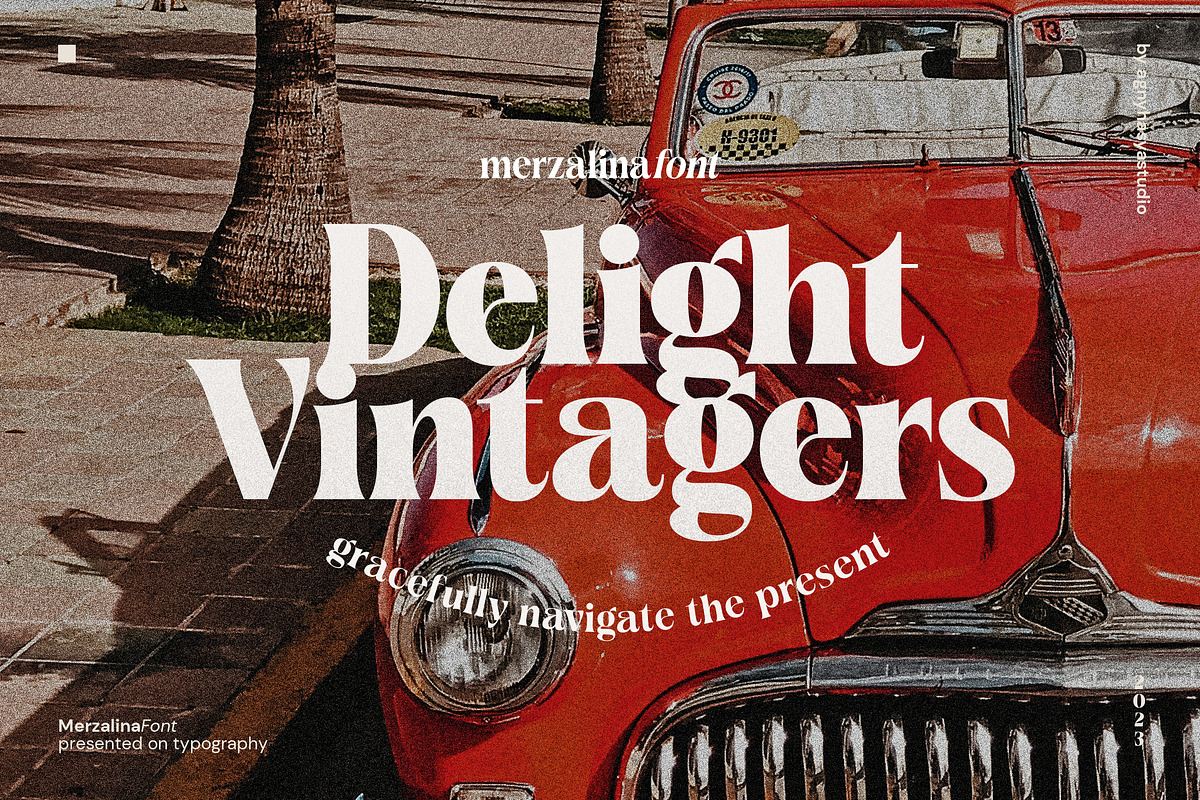 Merzalina - A Decorative Serif, a Serif Font by agnyhasyastudio (Photo 4 of 10)