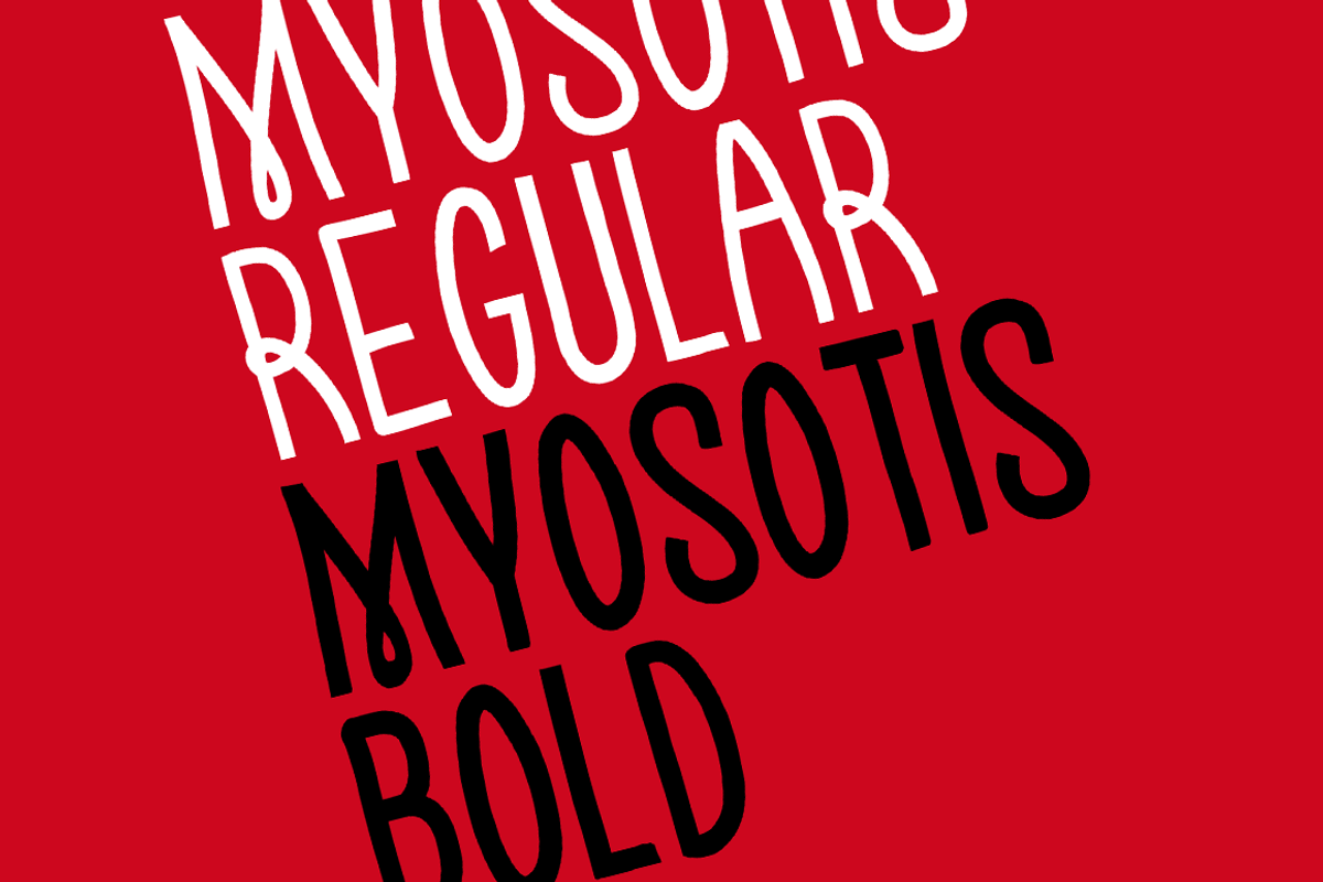 Myosotis, a Handwritten Font by La Boite Graphique (Photo 3 of 4)