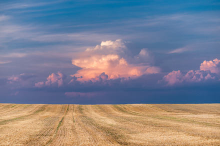 Stubble field after the harvest, an Industrial Photo by Mark Borbely